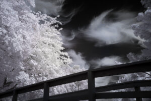 Railing, Tree and Clouds